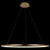 Подвесной светодиодный светильник Loft IT Ring 10014XL