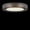 Потолочный светильник Freya Zoticus FR6005CL-L48G