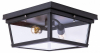 Потолочный светильник Loft IT Loft3110-2C
