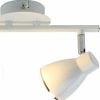 Настенно-потолочный светильник Arte Lamp Gioved A6008PL-2WH