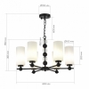 Подвесная люстра ST-Luce AURORA SL2003.403.06