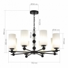Подвесная люстра ST-Luce AURORA SL2003.403.08