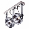 Потолочный светильник Arte Lamp Faccia A4507PL-2CC