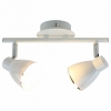 Настенно-потолочный светильник Arte Lamp Gioved A6008PL-2WH