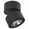 Потолочный светодиодный светильник Lightstar Forte Muro 213857