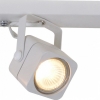 Настенно-потолочный светильник Arte Lamp Lente A1314PL-4WH