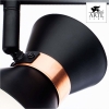Настенно-потолочный светильник Arte Lamp Baltimore A1406AP-2BK