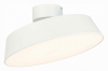 Потолочный светодиодный светильник Evoluce Vigo SLE600252-01