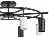 Потолочная люстра Lightstar Rullo LR718374364