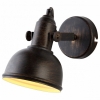 Настенно-потолочный светильник Arte Lamp Martin A5213AP-1BR