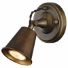 Настенно-потолочный светильник Favourite Glocke 1582-1W