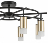 Потолочная люстра Lightstar Rullo LR7184081