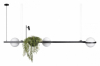Подвесной светильник Loft IT Jardin 10121/C