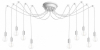 Подвесная люстра Loft IT Spider Loft1162W/10