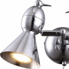 Настенный светильник Arte Lamp Picchio A9229AP-2CC