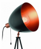 Торшер Eglo Chester 49386