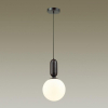 Подвесной светильник Odeon Light Okia 4668/1