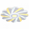 Потолочный светодиодный светильник Ambrella light Original FA850
