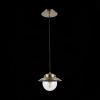 Подвесная люстра ST Luce TERAMO SL1628.103.12