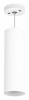 Подвесной светильник Lightstar Rullo RP6496