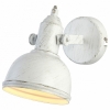 Настенно-потолочный светильник Arte Lamp Martin A5213AP-1WG