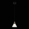 Подвесной светильник ST Luce SL237.403.01
