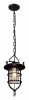 Подвесной светильник Loft IT Loft1141
