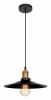 Подвесной светильник Loft IT Loft1102