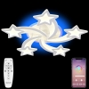 Потолочная люстра Natali Kovaltseva LED LIGHT LED LAMPS 81145