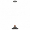 Подвесной светильник ЭРА Loft PL4 BK/RC