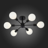 Потолочная люстра ST Luce Ano SL419.402.06