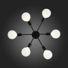 Потолочная люстра ST Luce Ano SL419.402.06