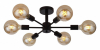 Потолочная люстра ST Luce Ano SL419.402.06