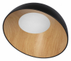 Потолочный светильник Loft IT Egg 10197/500 Black