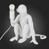 Интерьерная настольная лампа Evoluce Tenato SLE115104-01