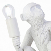 Интерьерная настольная лампа Evoluce Tenato SLE115104-01