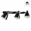 Настенно-потолочный светильник Arte Lamp Mercoled A5049PL-3BK