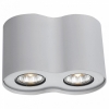 Потолочный светильник Arte Lamp Falcon A5633PL-2WH