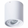 Потолочный светильник Arte Lamp Falcon A5645PL-1WH