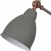 Настольная лампа Arte Lamp Braccio A2054LT-1GY