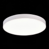 Потолочный светодиодный светильник ST Luce ST606.542.96