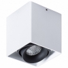 Потолочный светильник Arte Lamp Pictor A5654PL-1WH