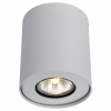 Потолочный светильник Arte Lamp Falcon A5633PL-1WH