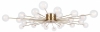 Потолочная люстра Celebrity FR5242CL-24BS1