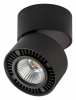 Точечный накладной светильник Lightstar Forte Muro 214817