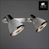 Настенно-потолочный светильник Arte Lamp Marted A2215AP-2WH