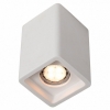 Потолочный светильник Arte Lamp Tubo A9261PL-1WH