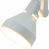Потолочный светильник Arte Lamp 5108 A5108PL-1WH