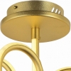 Потолочный светодиодный светильник Arti Lampadari Angelo L 1.2.35.06 G