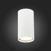 Потолочный светильник ST Luce ST110.507.01